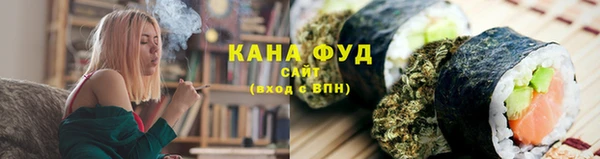 гашик Осинники