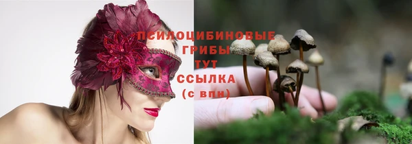 эйфоретик Белая Холуница